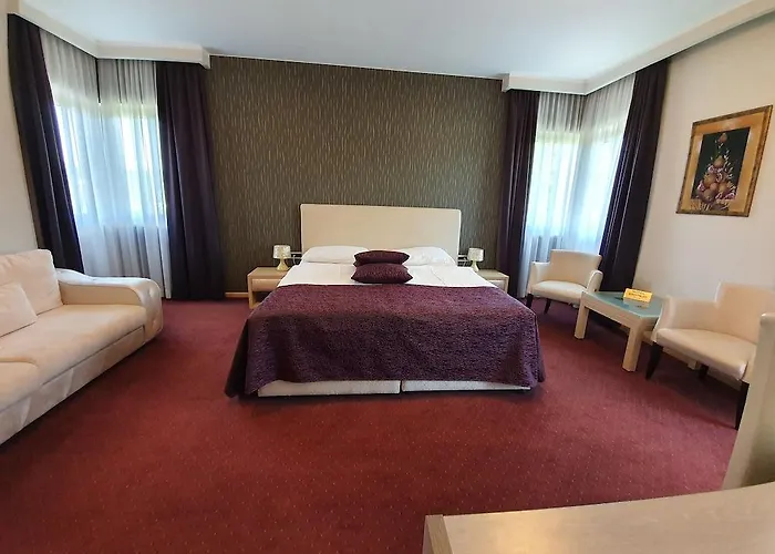 布罗尼奥酒店 4* Čitluk