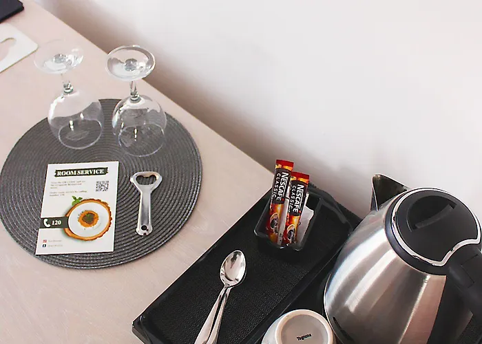 酒店 布罗尼奥酒店 4*